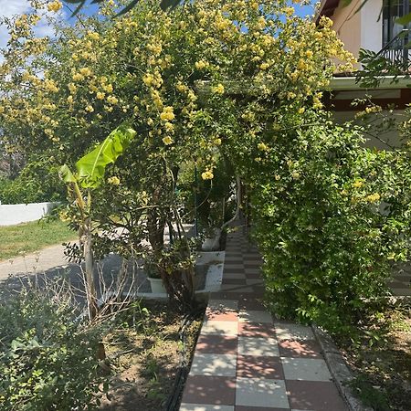 Koala Place Vasiliki  Bagian luar foto