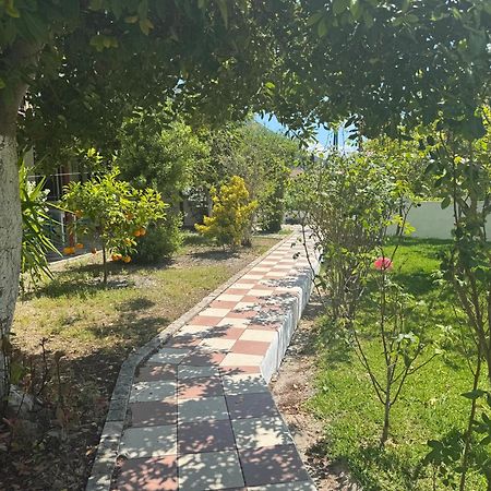 Koala Place Vasiliki  Bagian luar foto