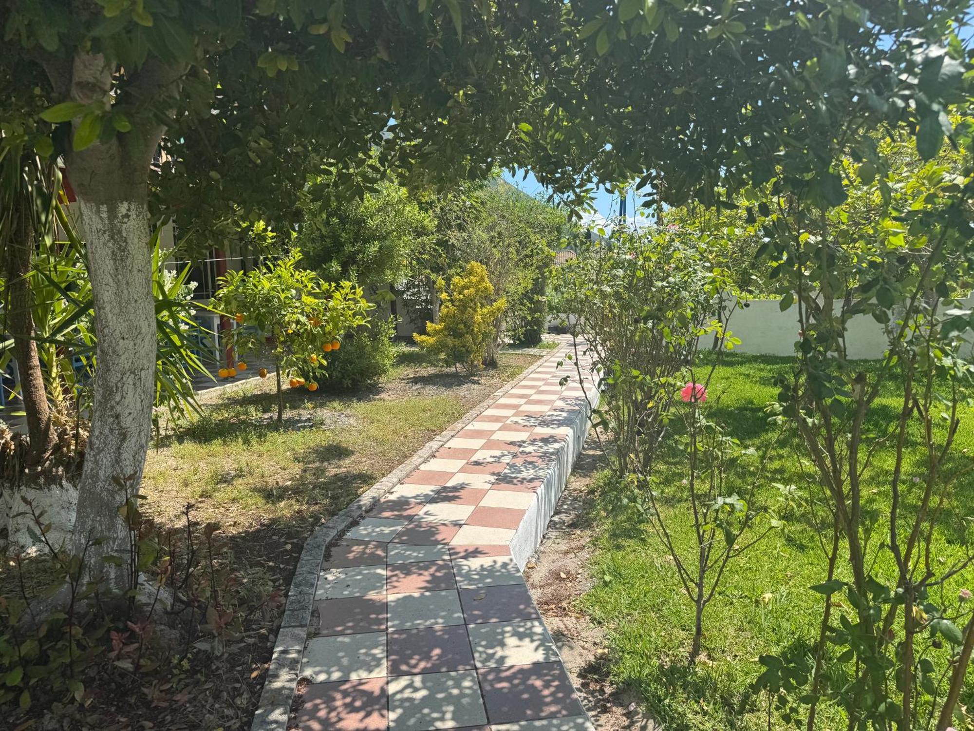 Koala Place Vasiliki  Bagian luar foto