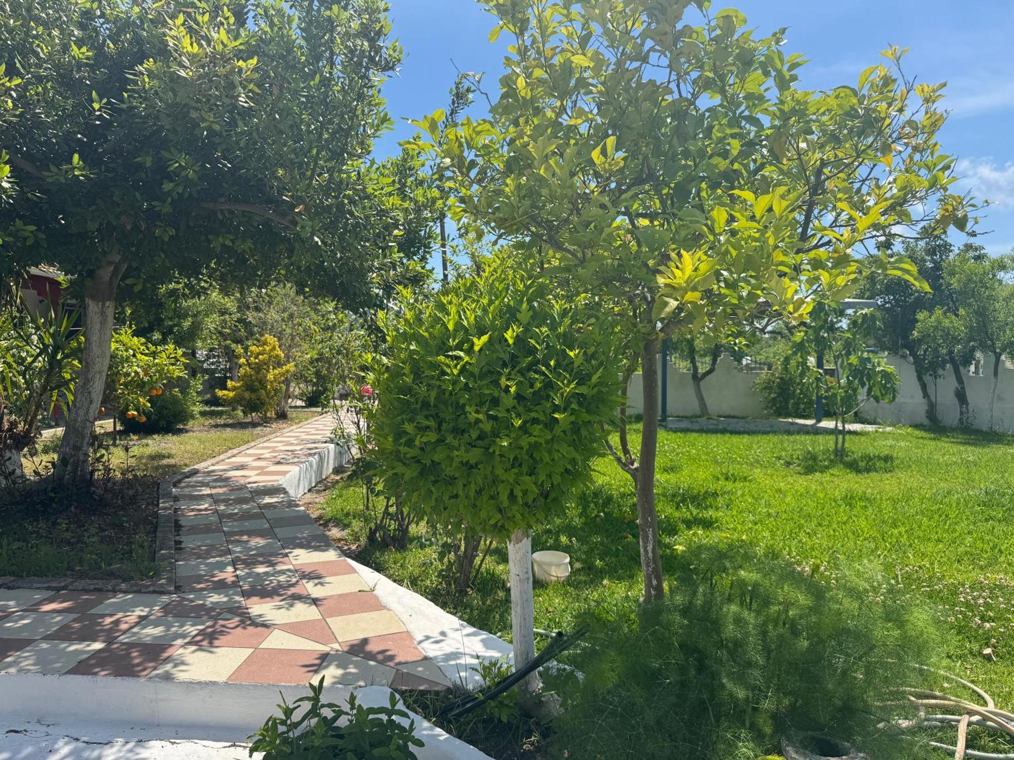 Koala Place Vasiliki  Bagian luar foto